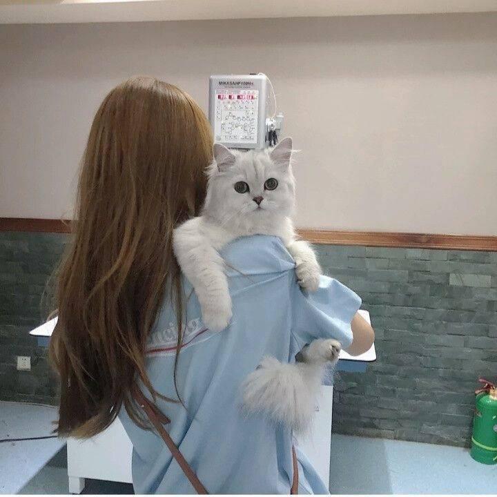 🕶️转身*️⃣离开🍂