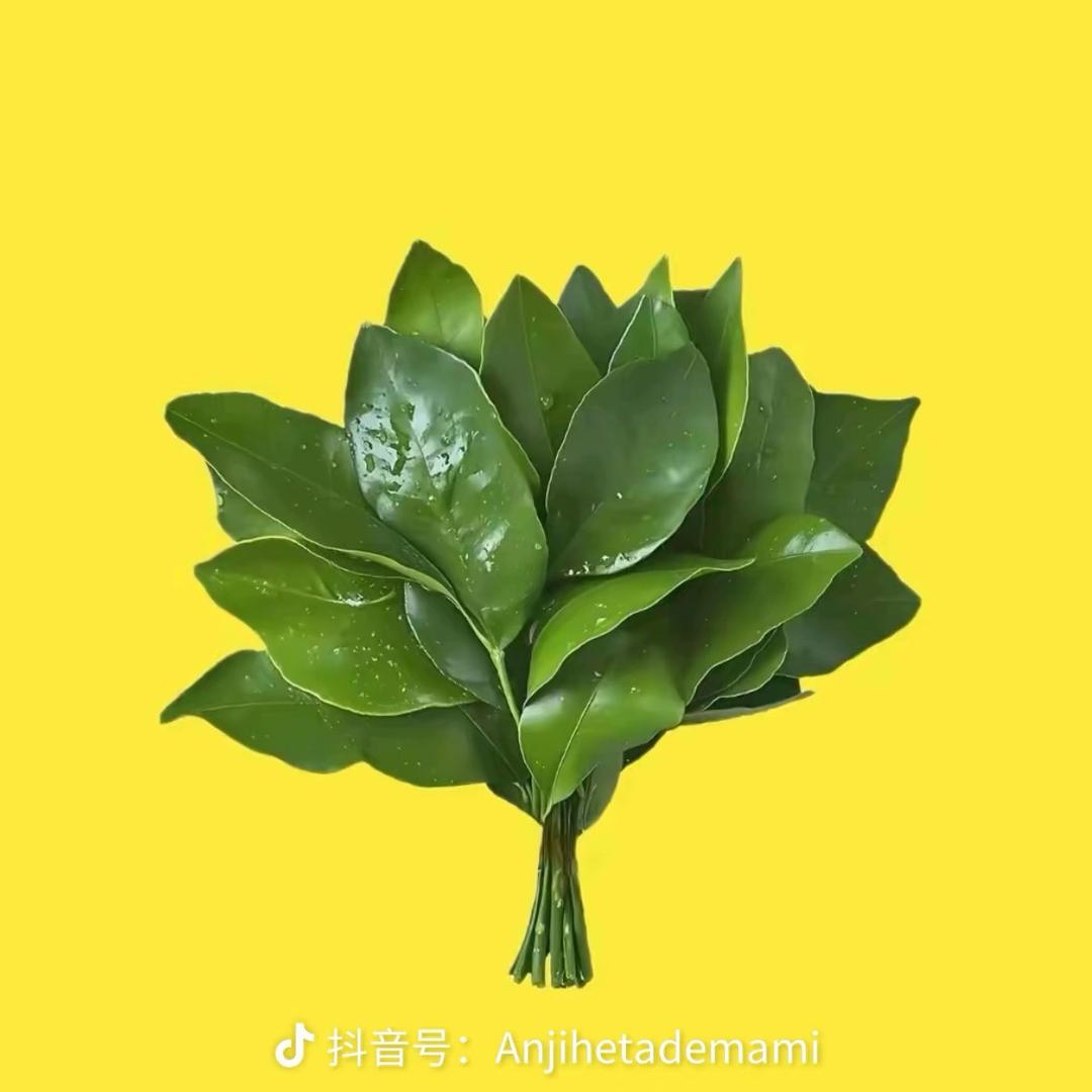 萍果