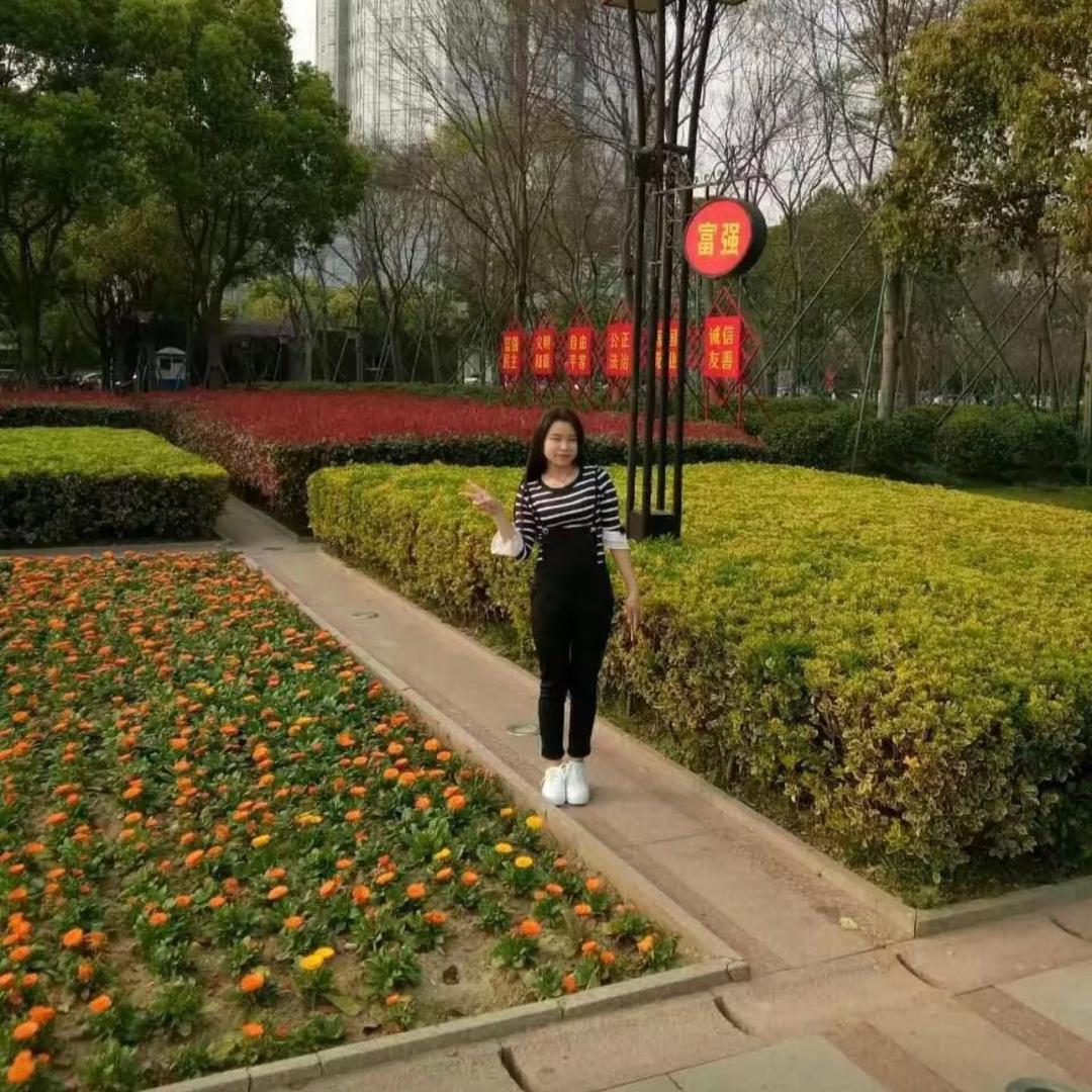 杨杨（重头再来）