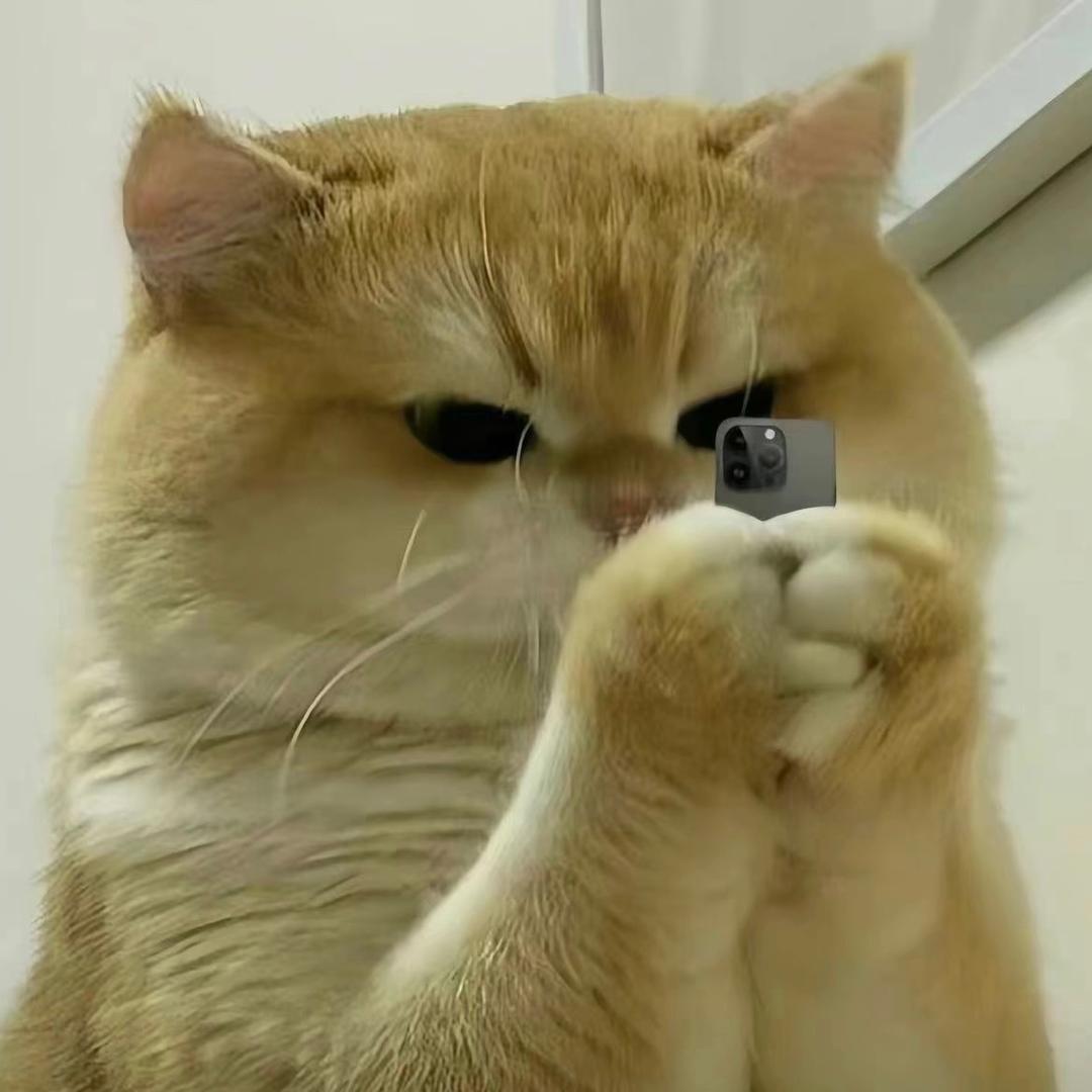 猫毛大王(三角洲行动)