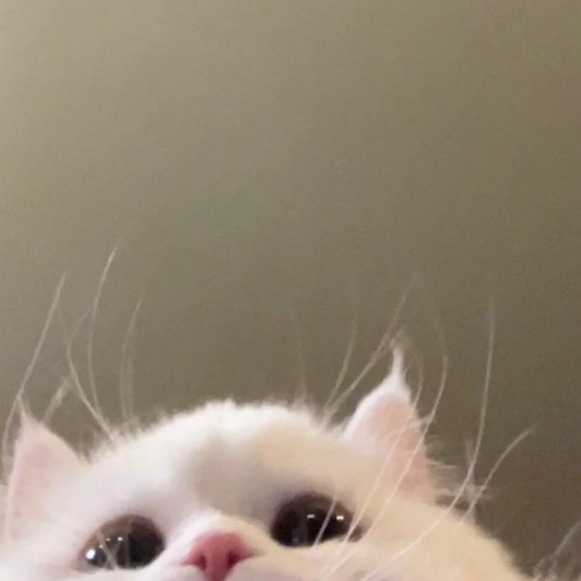 1ㅤ