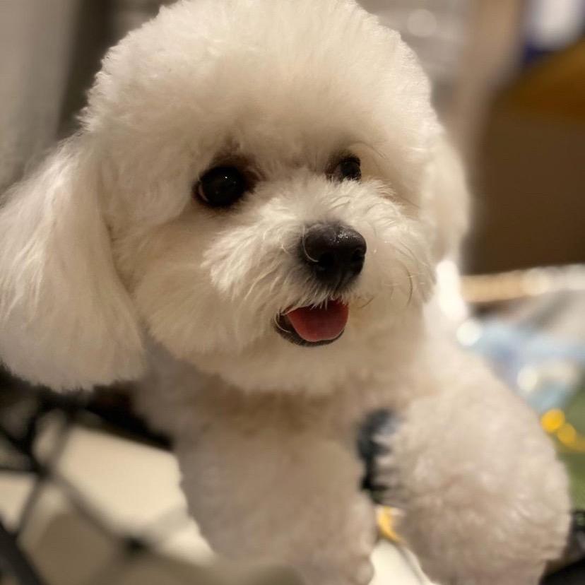 龙盟风哥