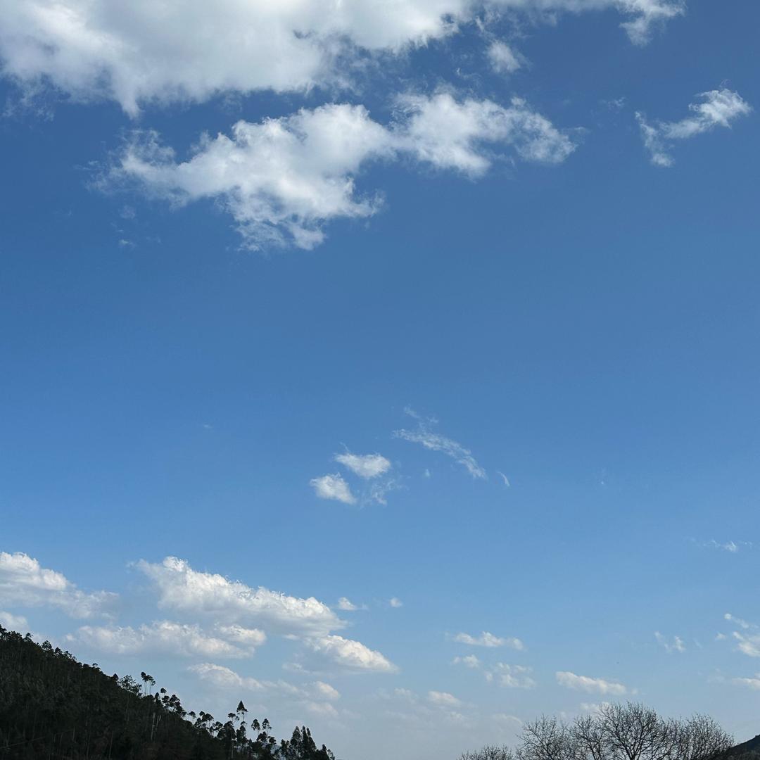 稀里福涂