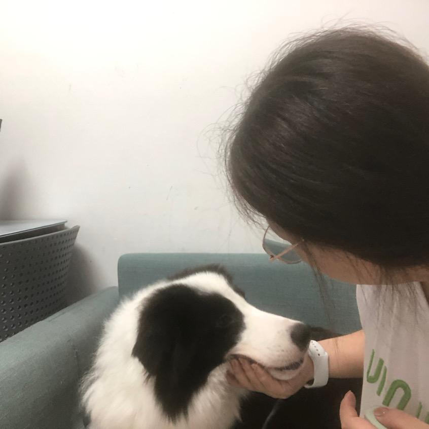 毛豆的豆