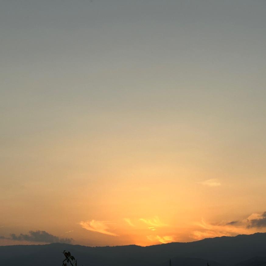 坚强每一天🍊🍊