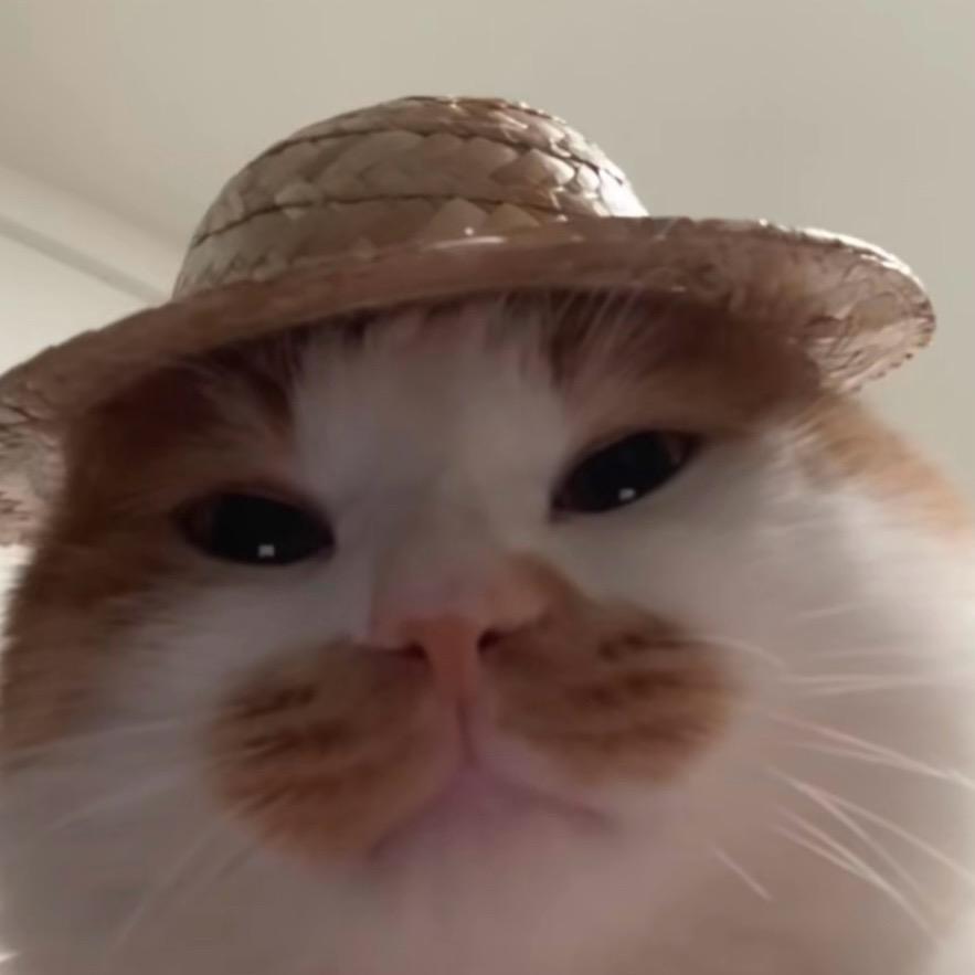大眼烈烈