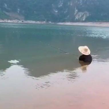 钓鱼佬狂拉