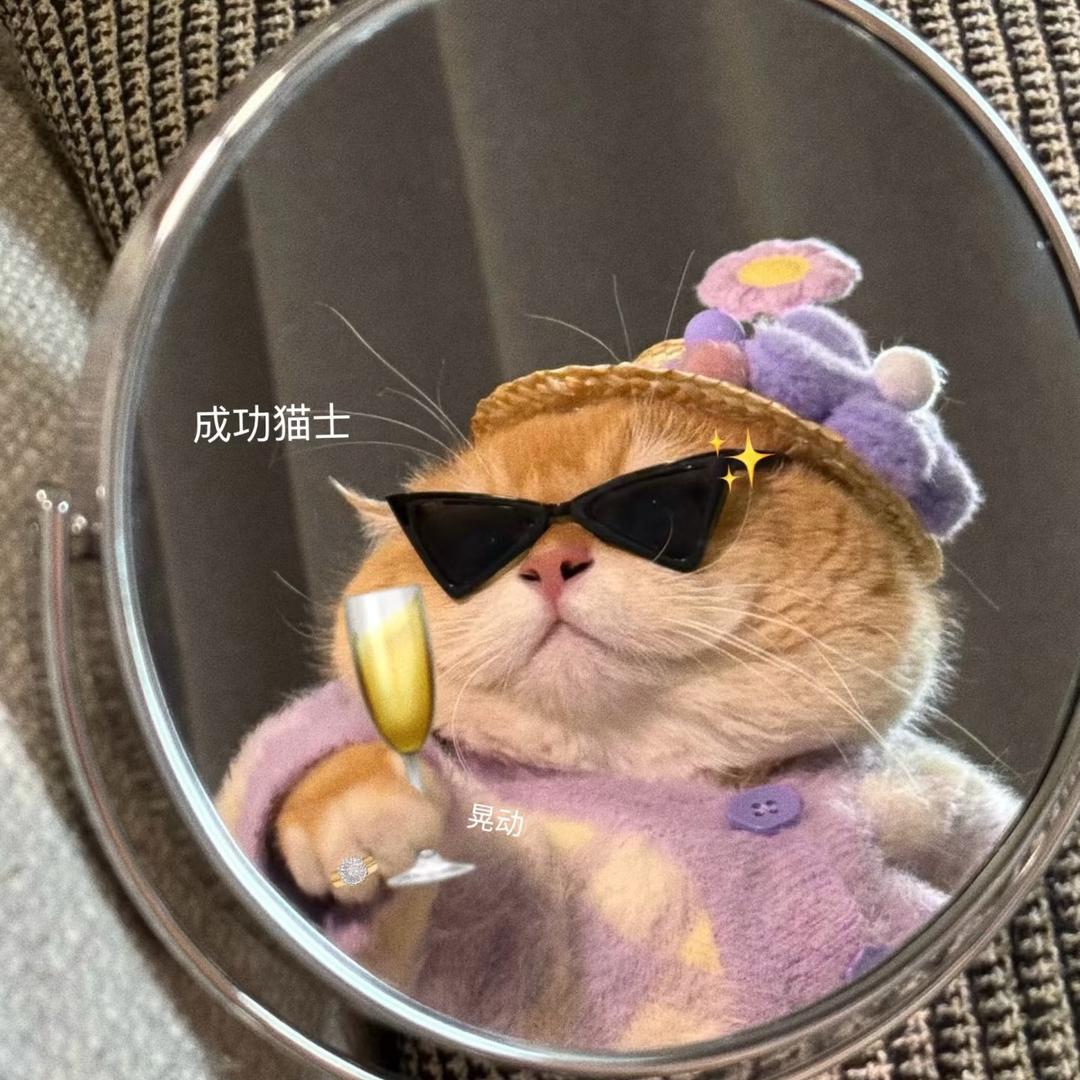 躺平的泡芙🫧•͈ᴗ⁃͈★