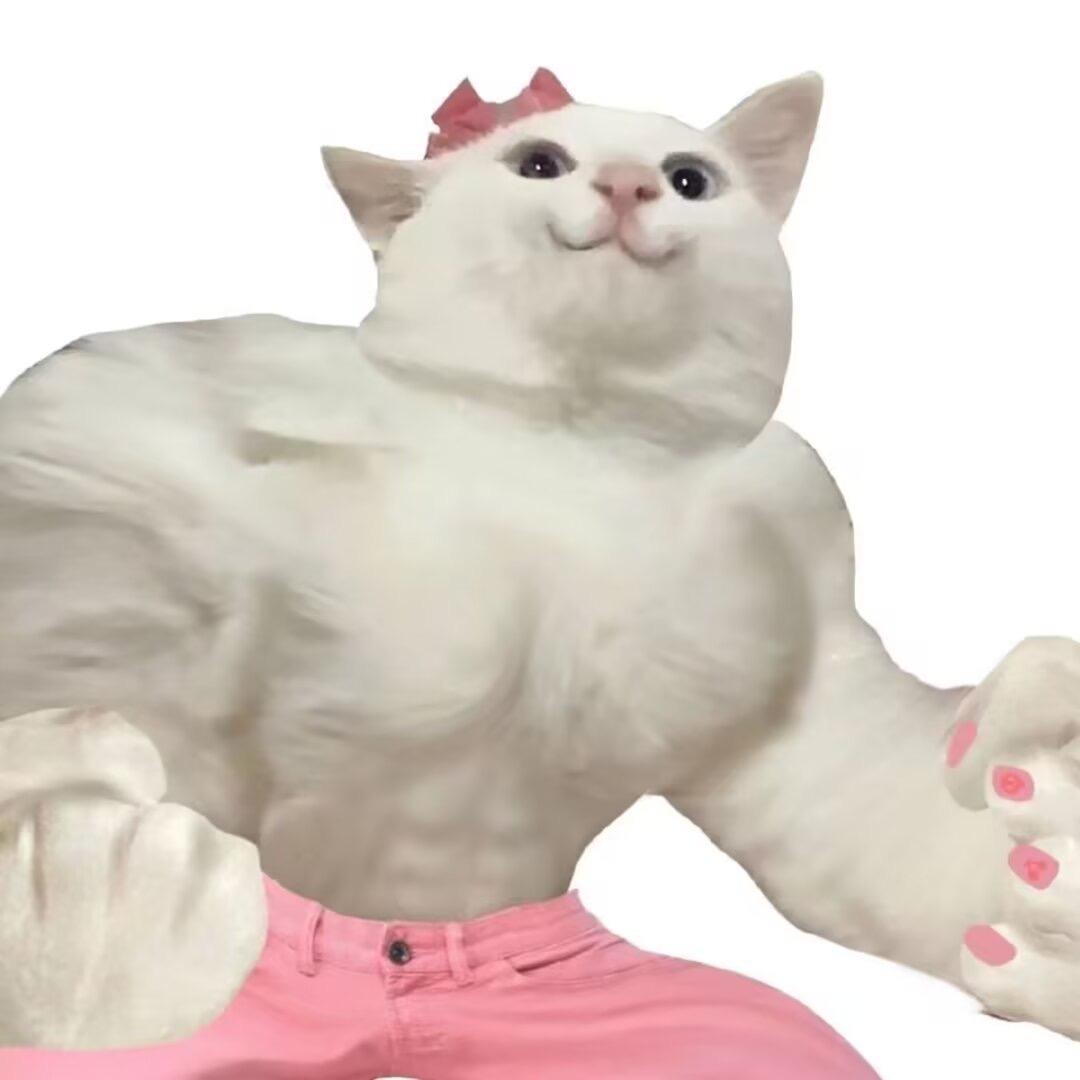 菠萝甜心橙