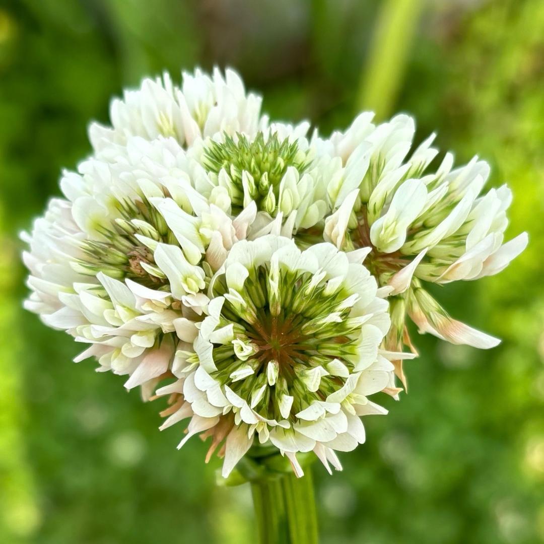 🌈好运常伴我✨