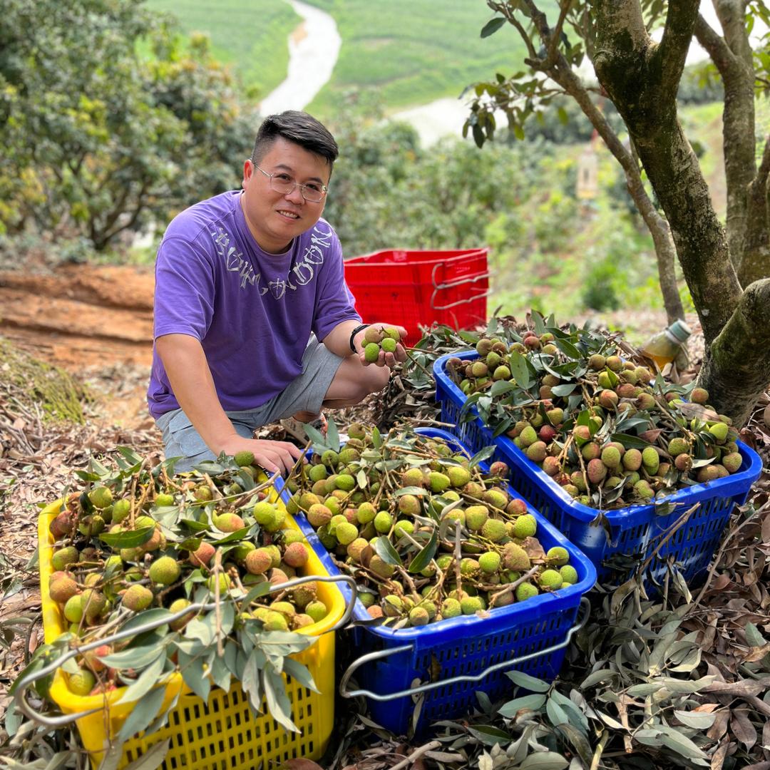 老撕鸡优选『涌泉蜜橘』