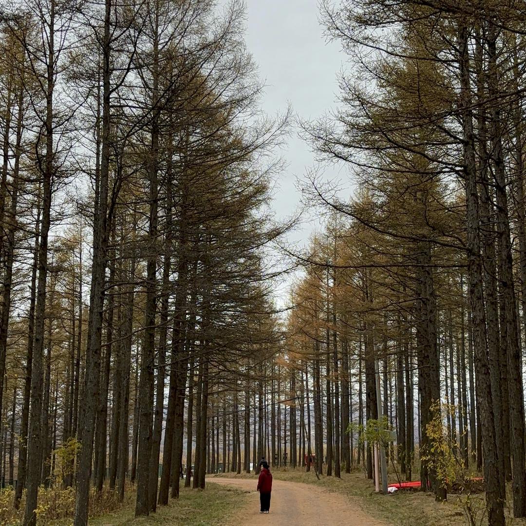 …山•令