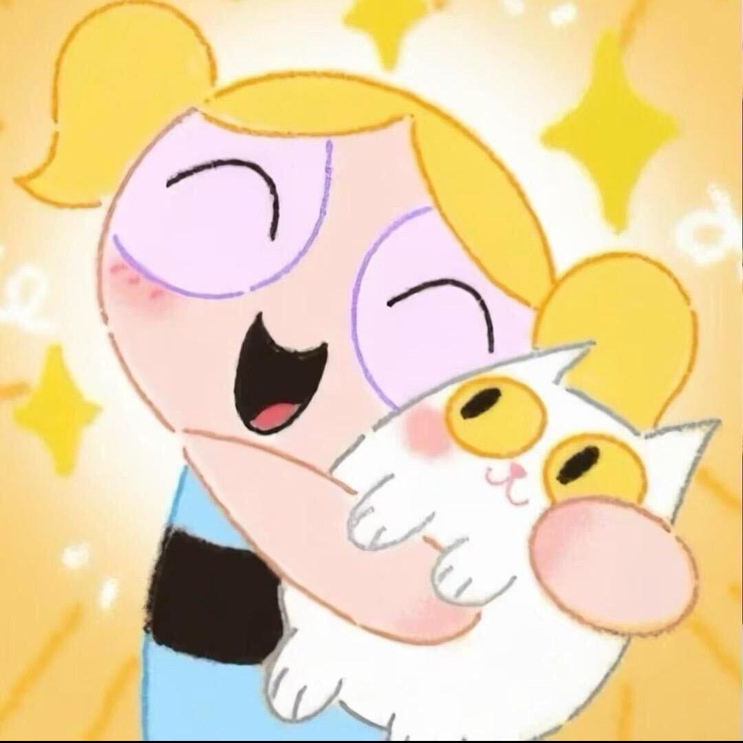 养猫猫