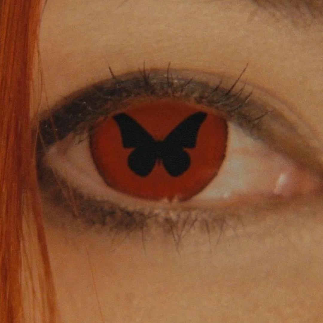 开封金乌画室小张老师