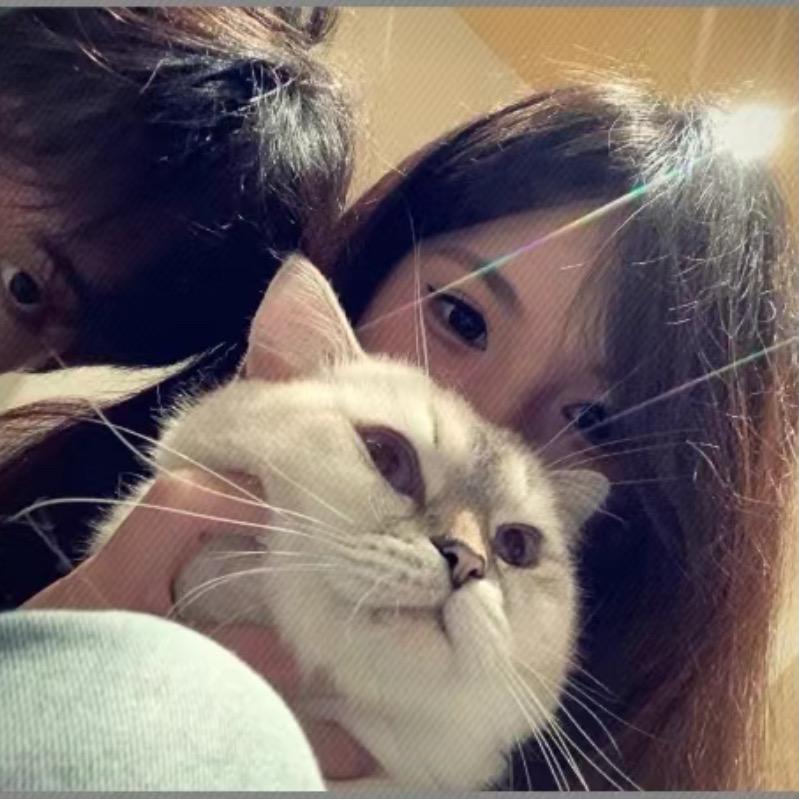 王憨憨 👑