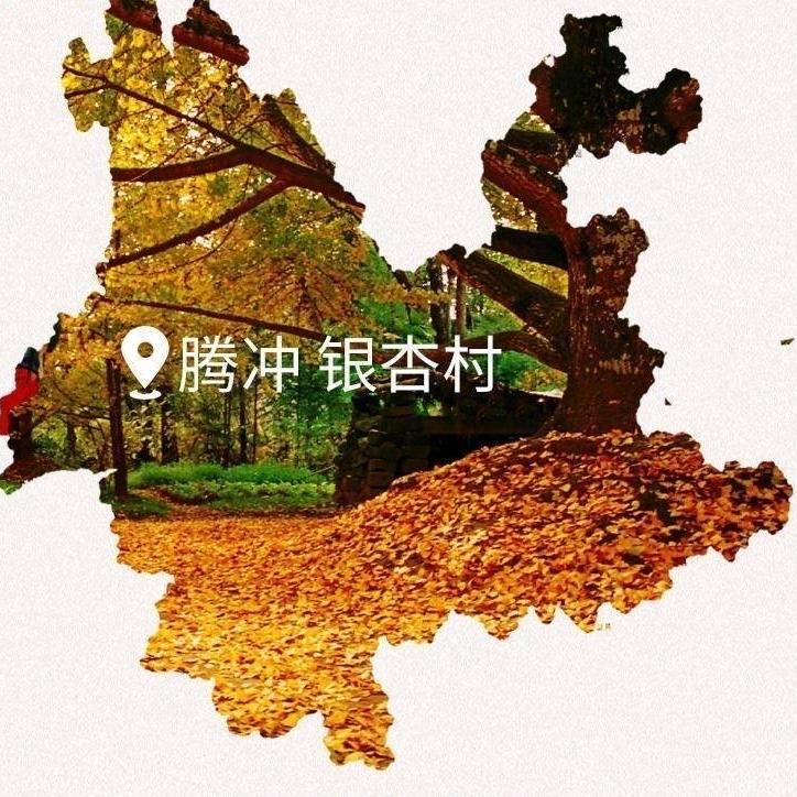 滇藏土特产