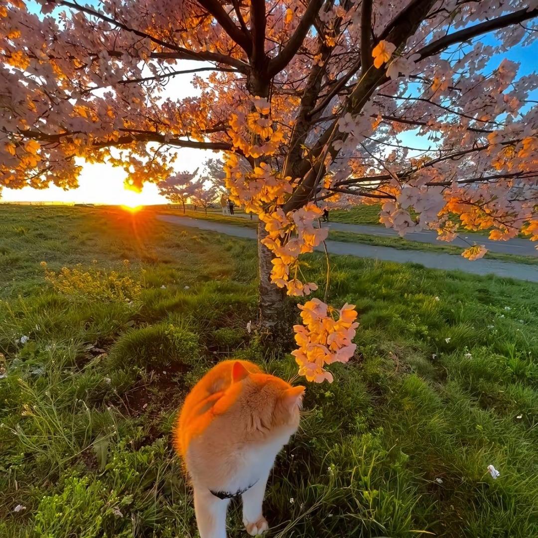 毛荣博