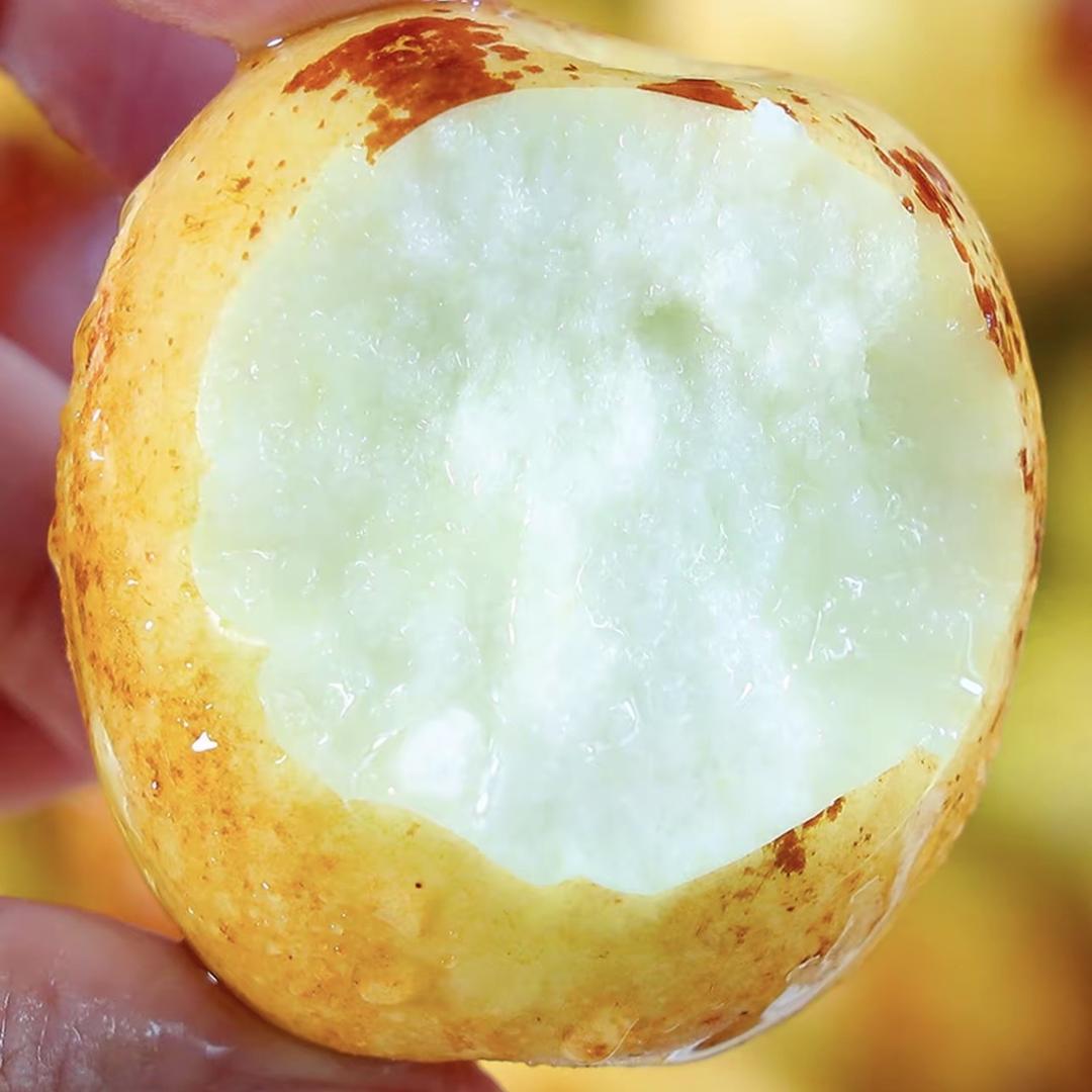 陕西大自然果蔬