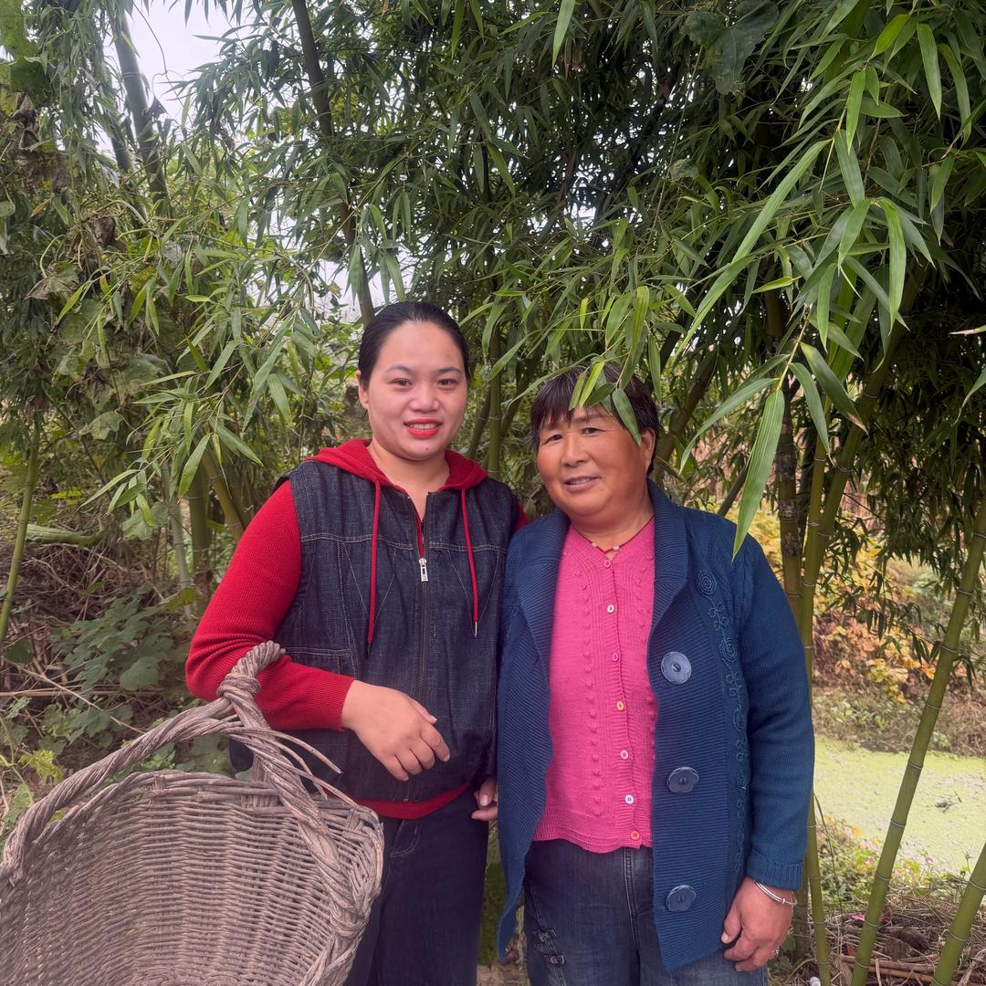 妞妞（婆媳日常生活）