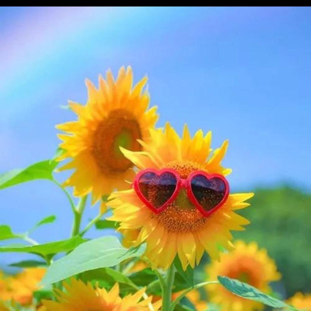 牛魔王🔥🔥🔥