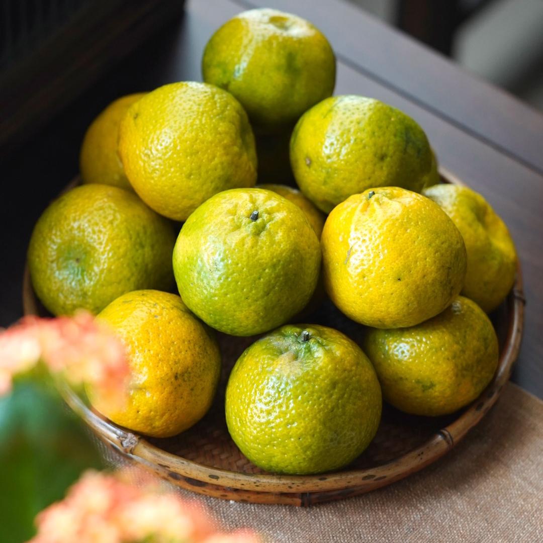 新会区怡然堂食品商行