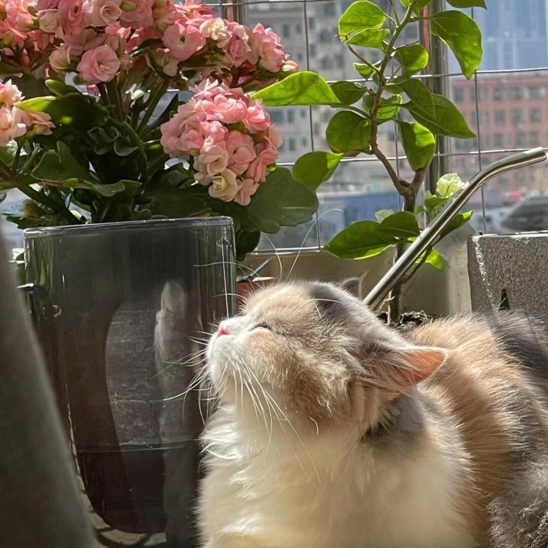 阳光明媚开心美好一天