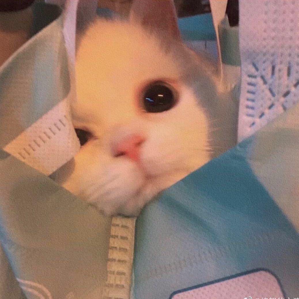我们。