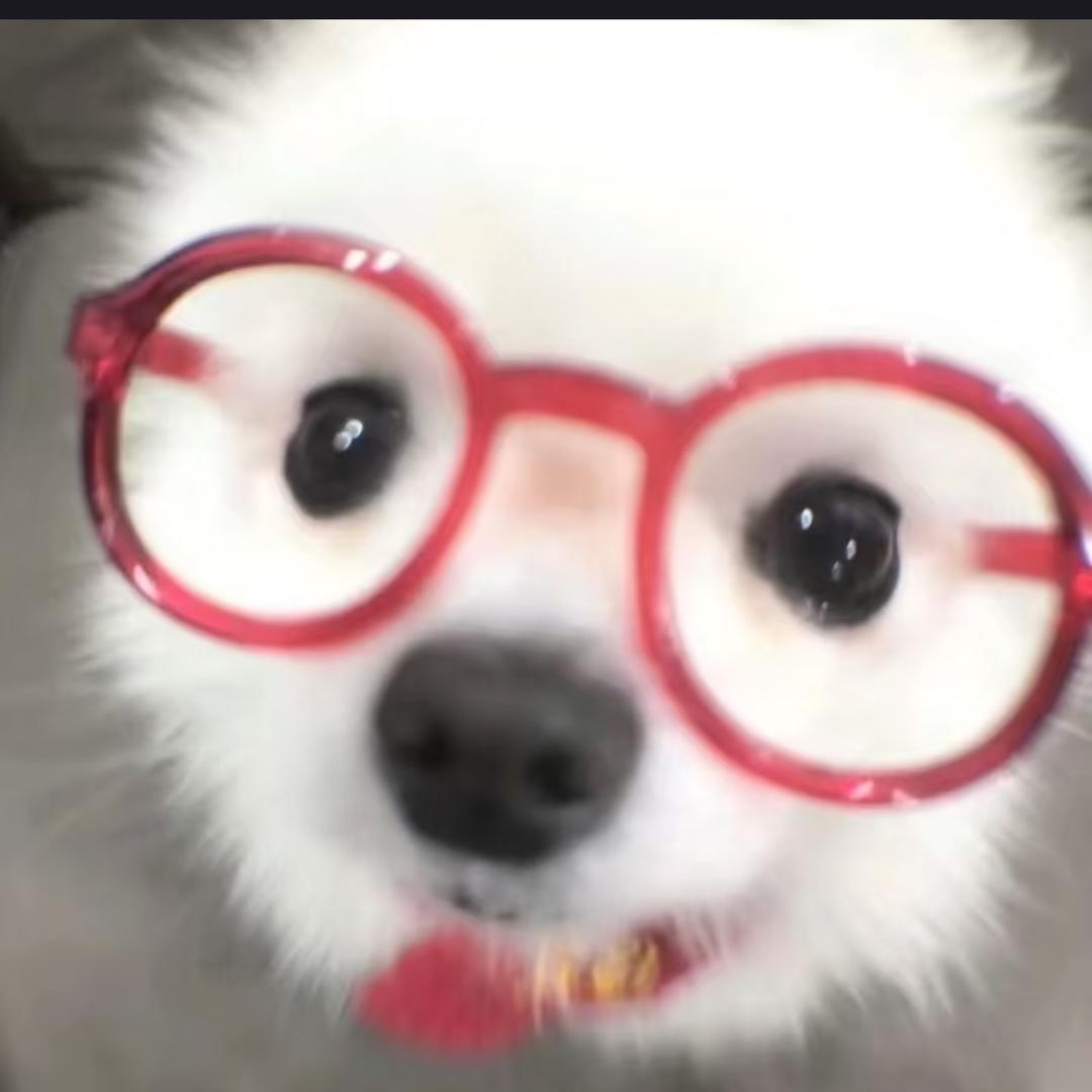 碎心小一.