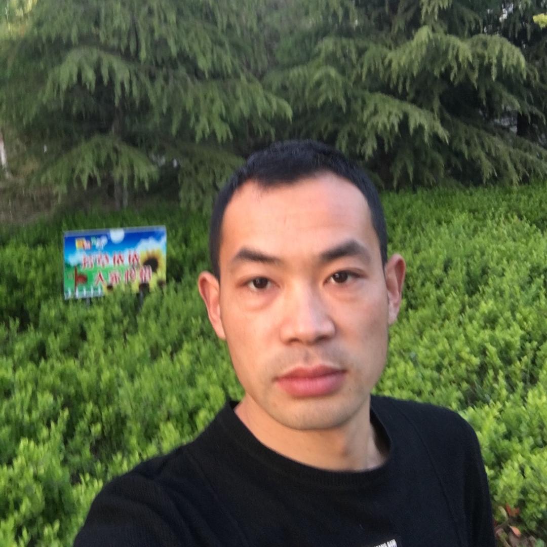 阿辉（内饰升级）