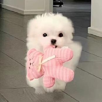 小满