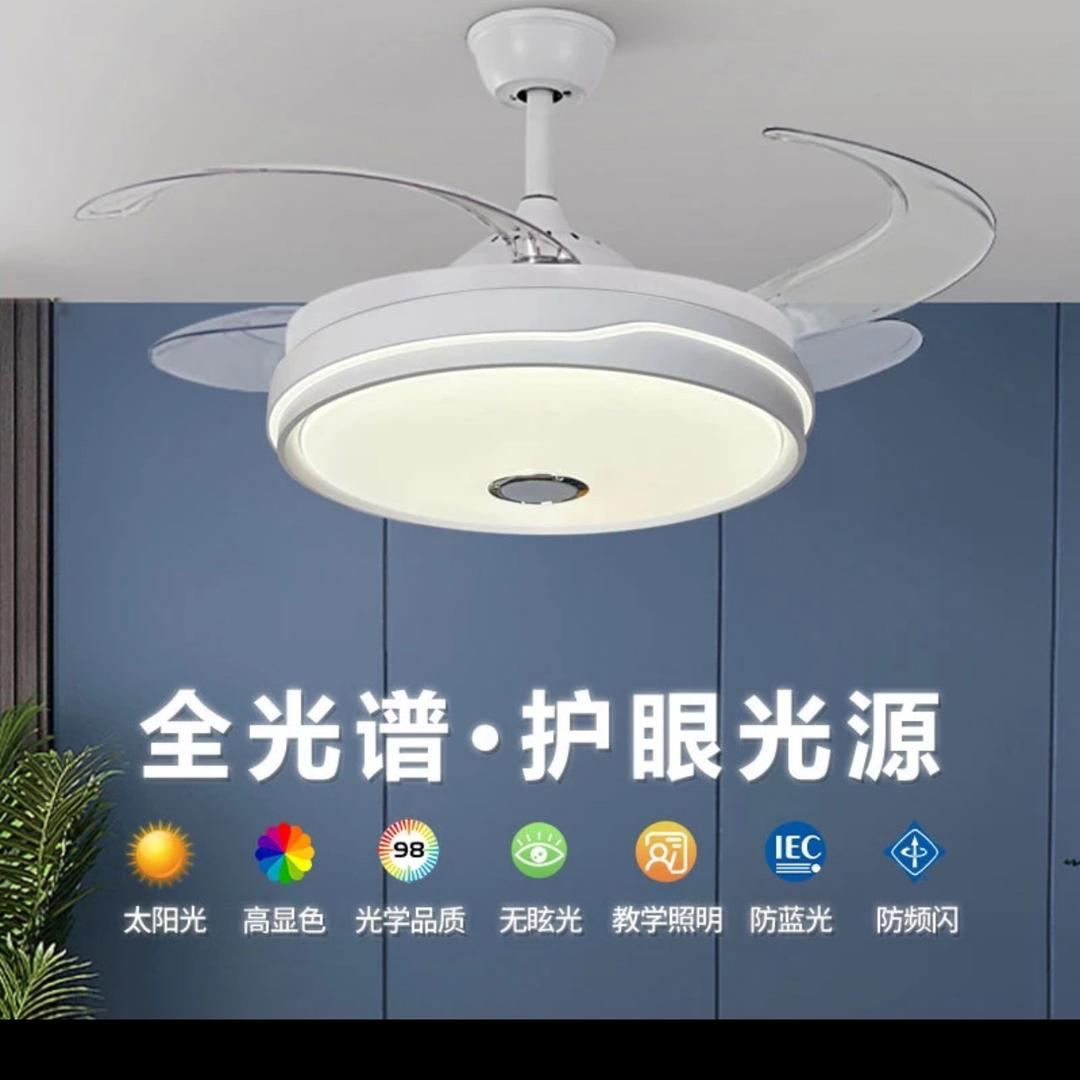 珍爱好太太风扇灯工厂店