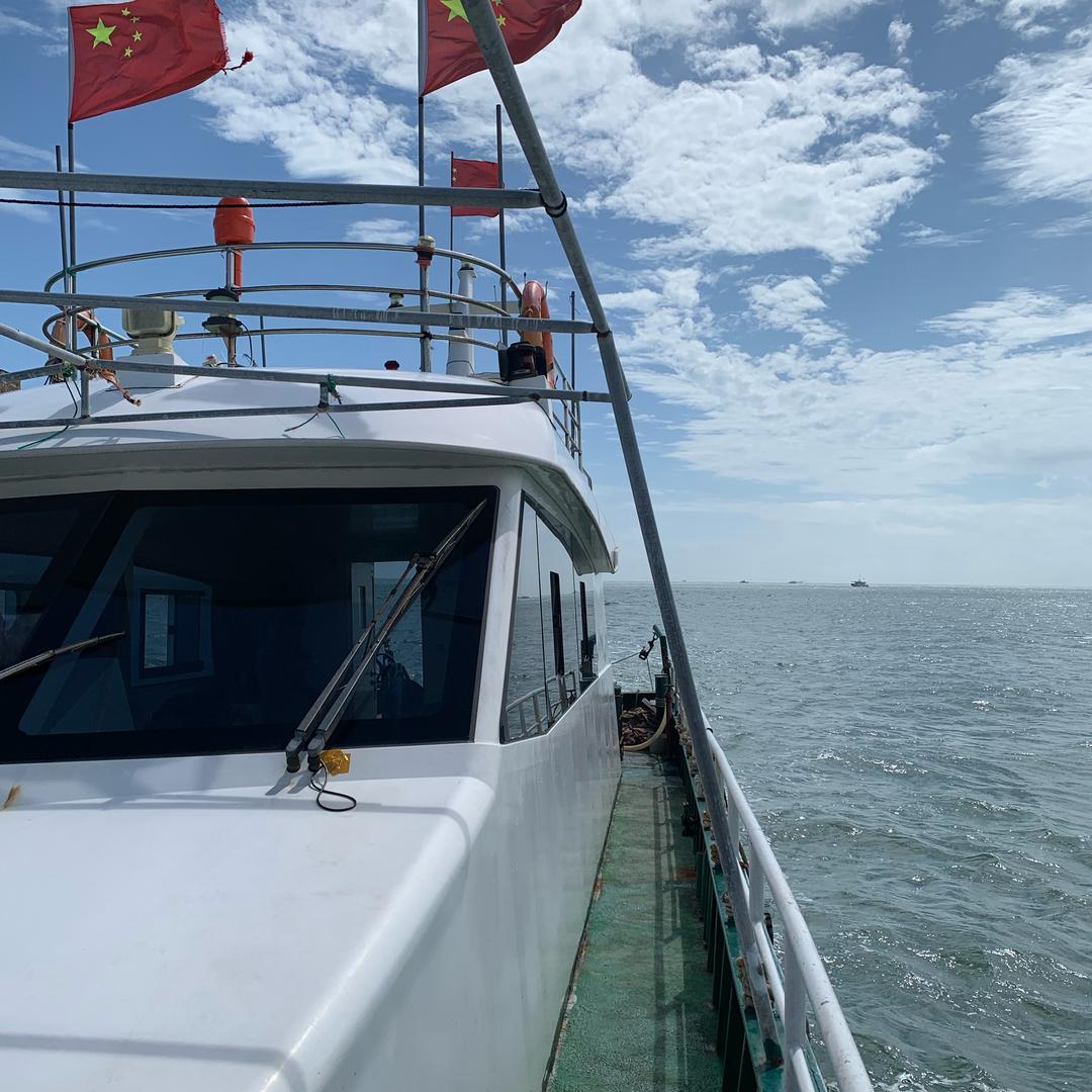 大鲨鱼:苍南出海捕鱼&民宿