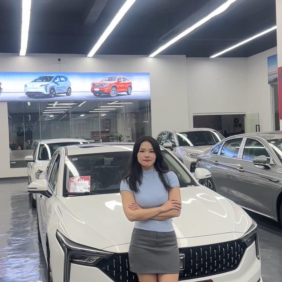 中山大表哥汽车-燕子