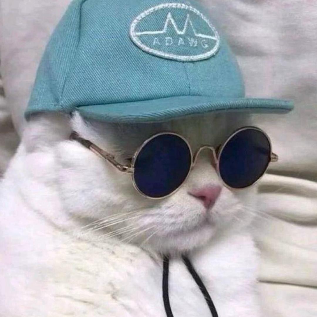 小z有个古典梦🍚