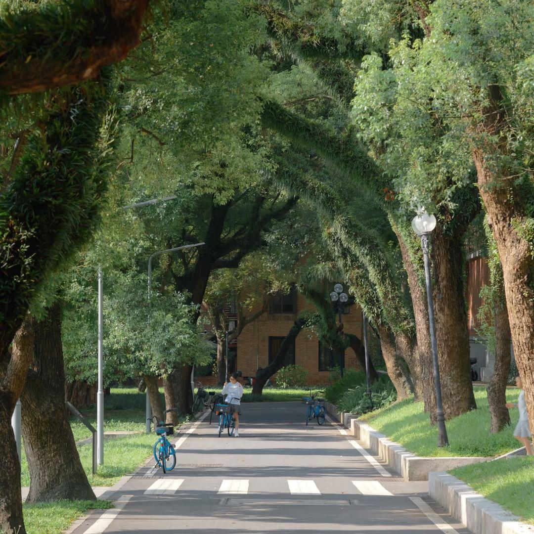 木子的穿搭手册