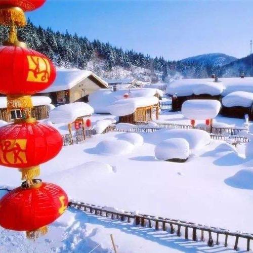 W小燕子