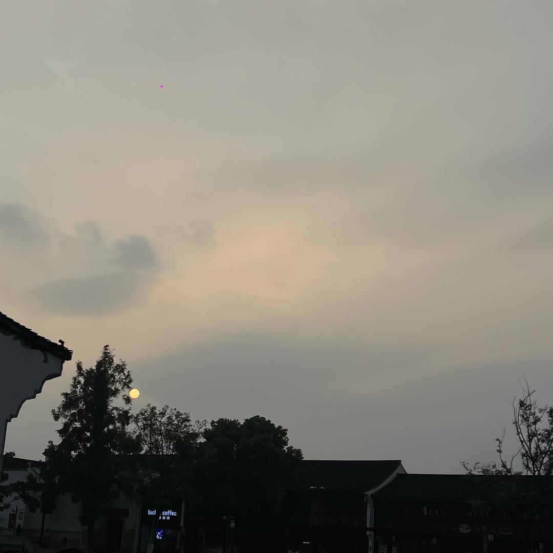 花彩屏兰