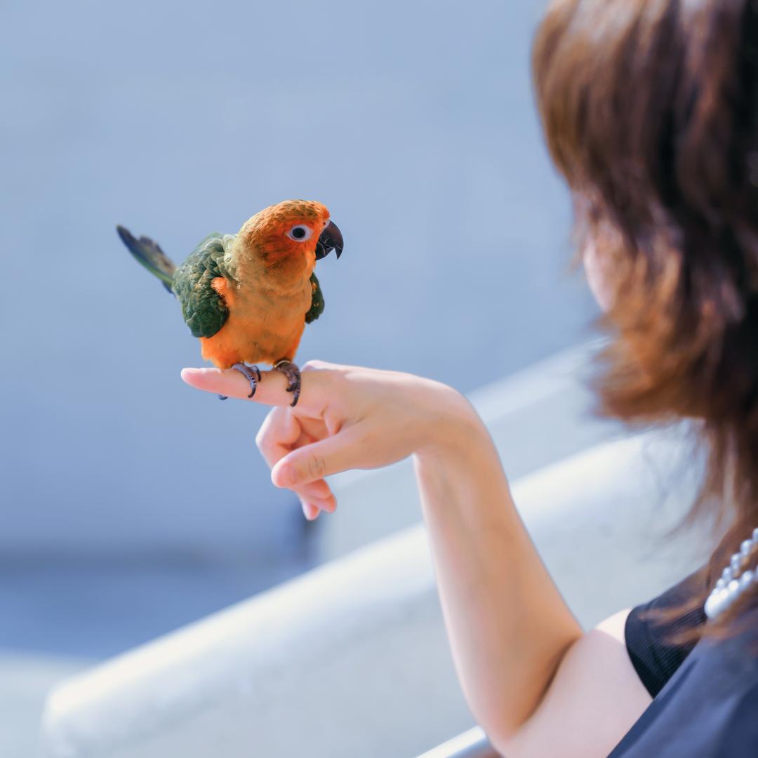 福田