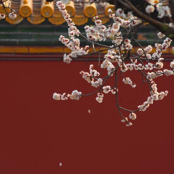 师兄啊