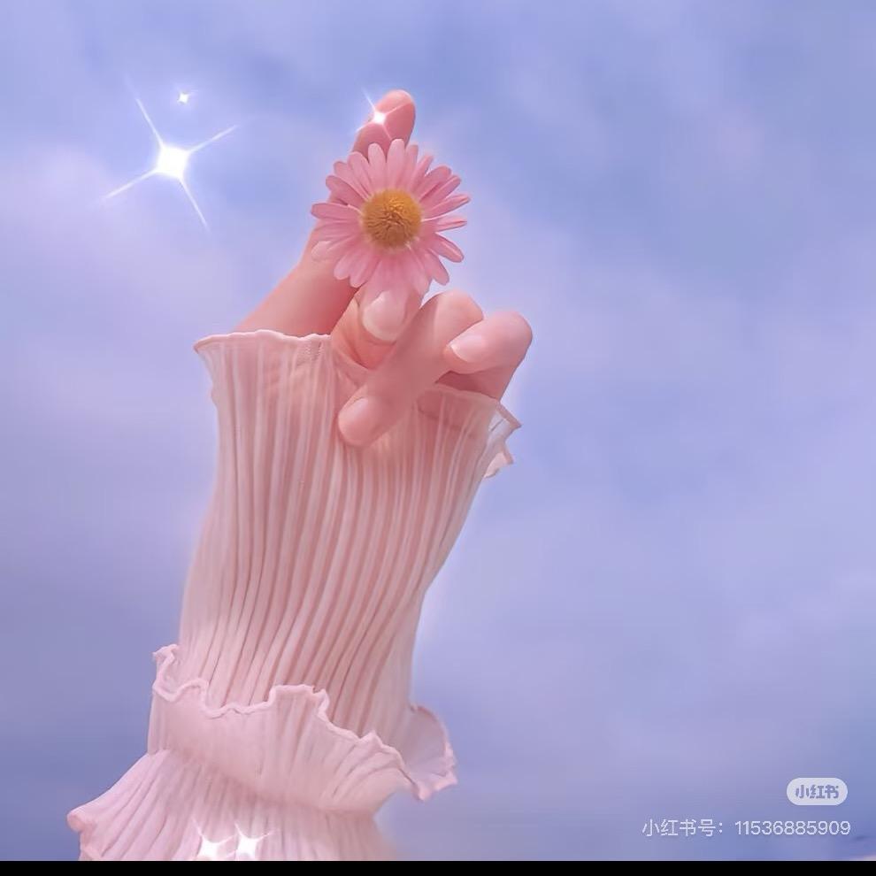 ༺❀ൢ兜有米❀ൢ༻