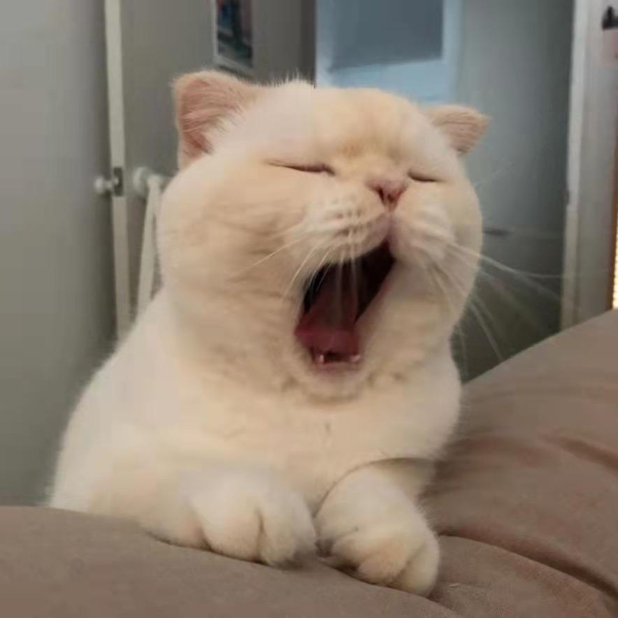口口