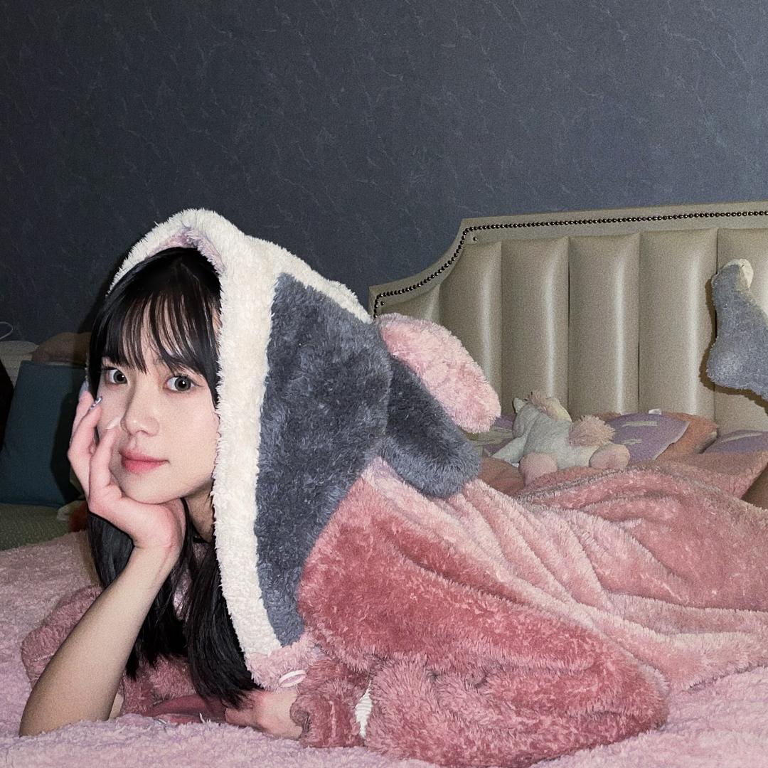 鲨鱼狗狗