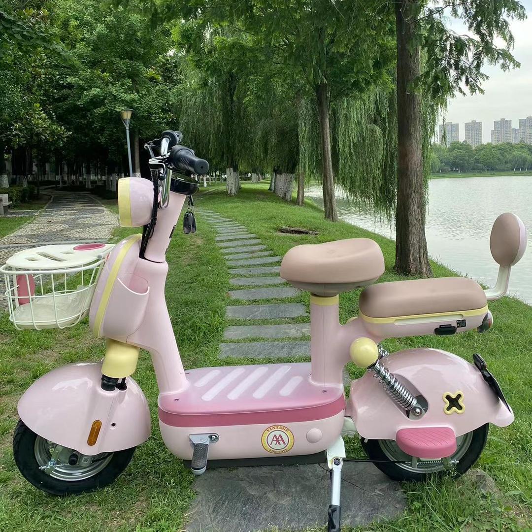爱玛电动车（文学泉店）