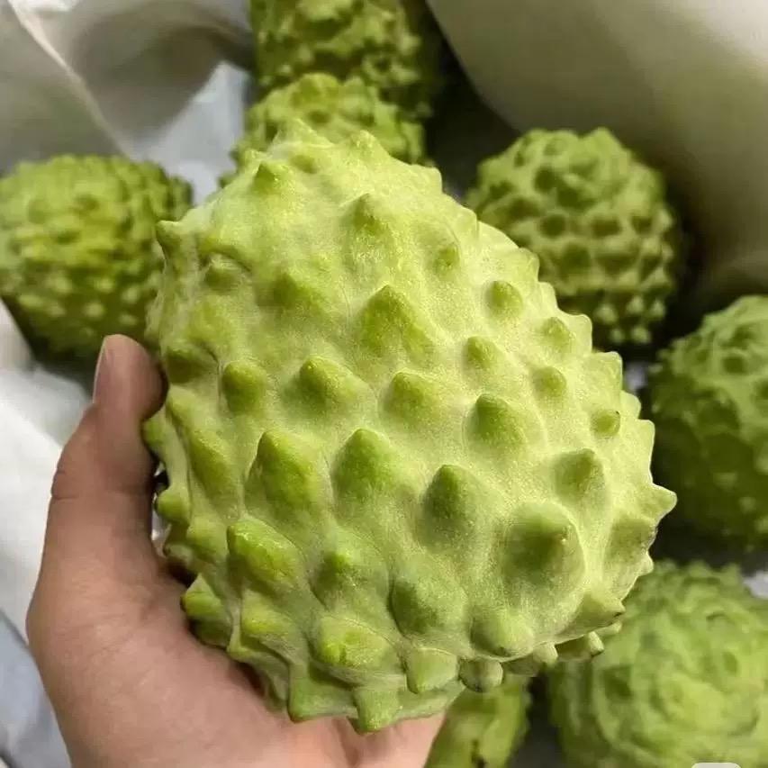 酷果生鲜水果店直销基地