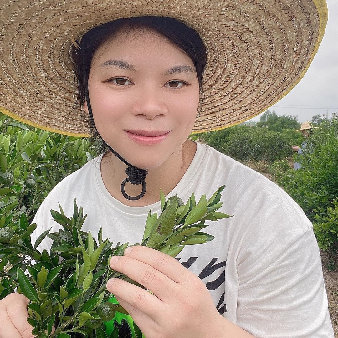 新会老农陈皮小青柑