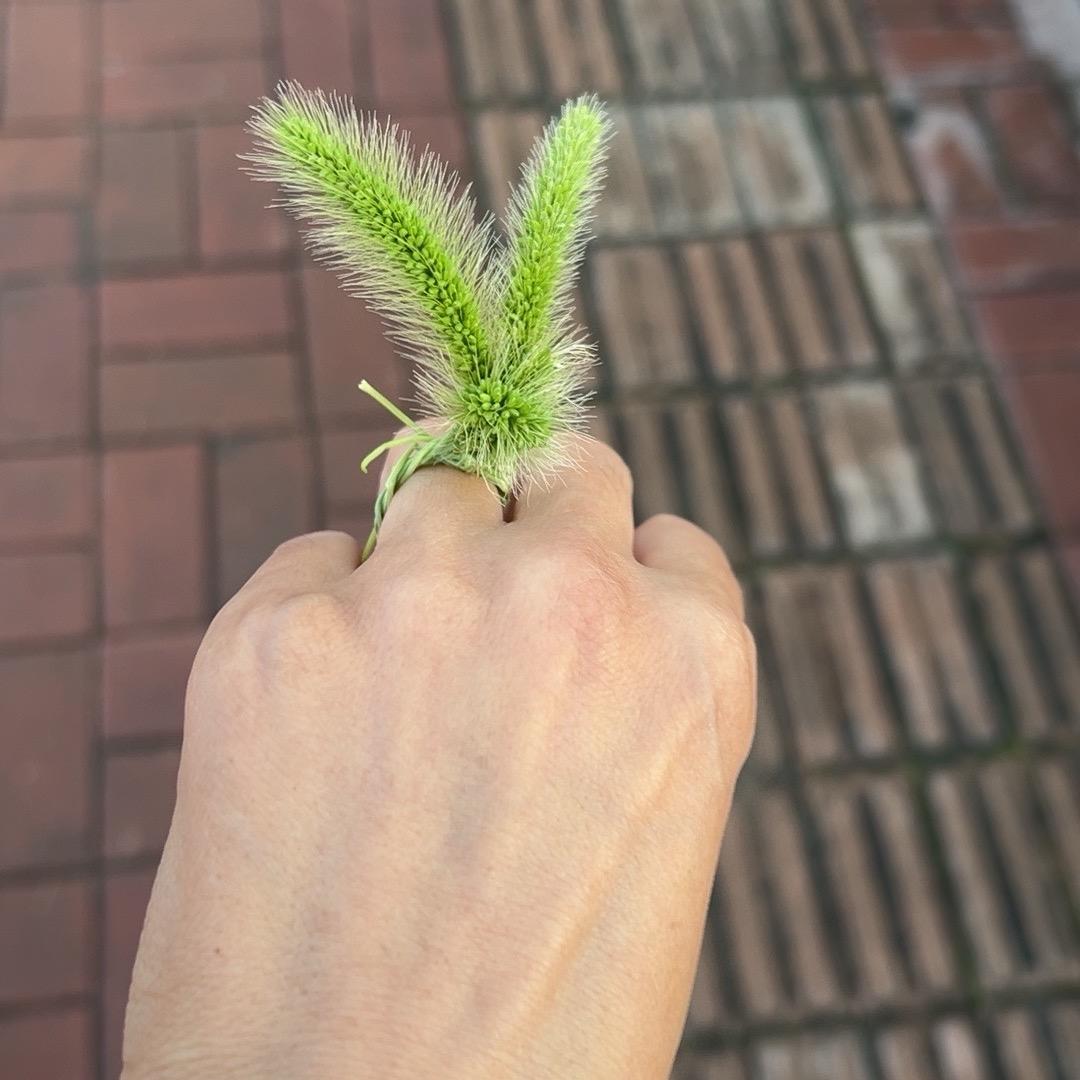 小二萌
