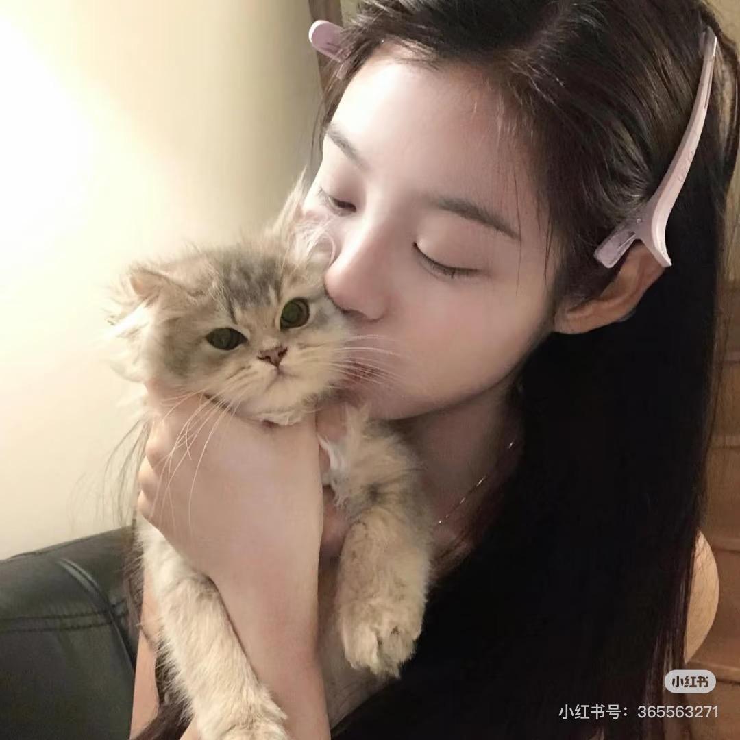 在不在