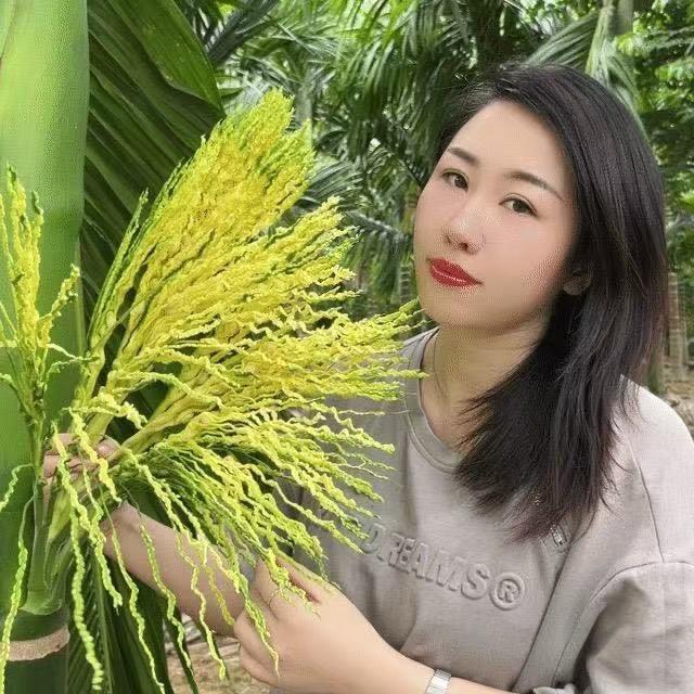 槟榔西施分享号