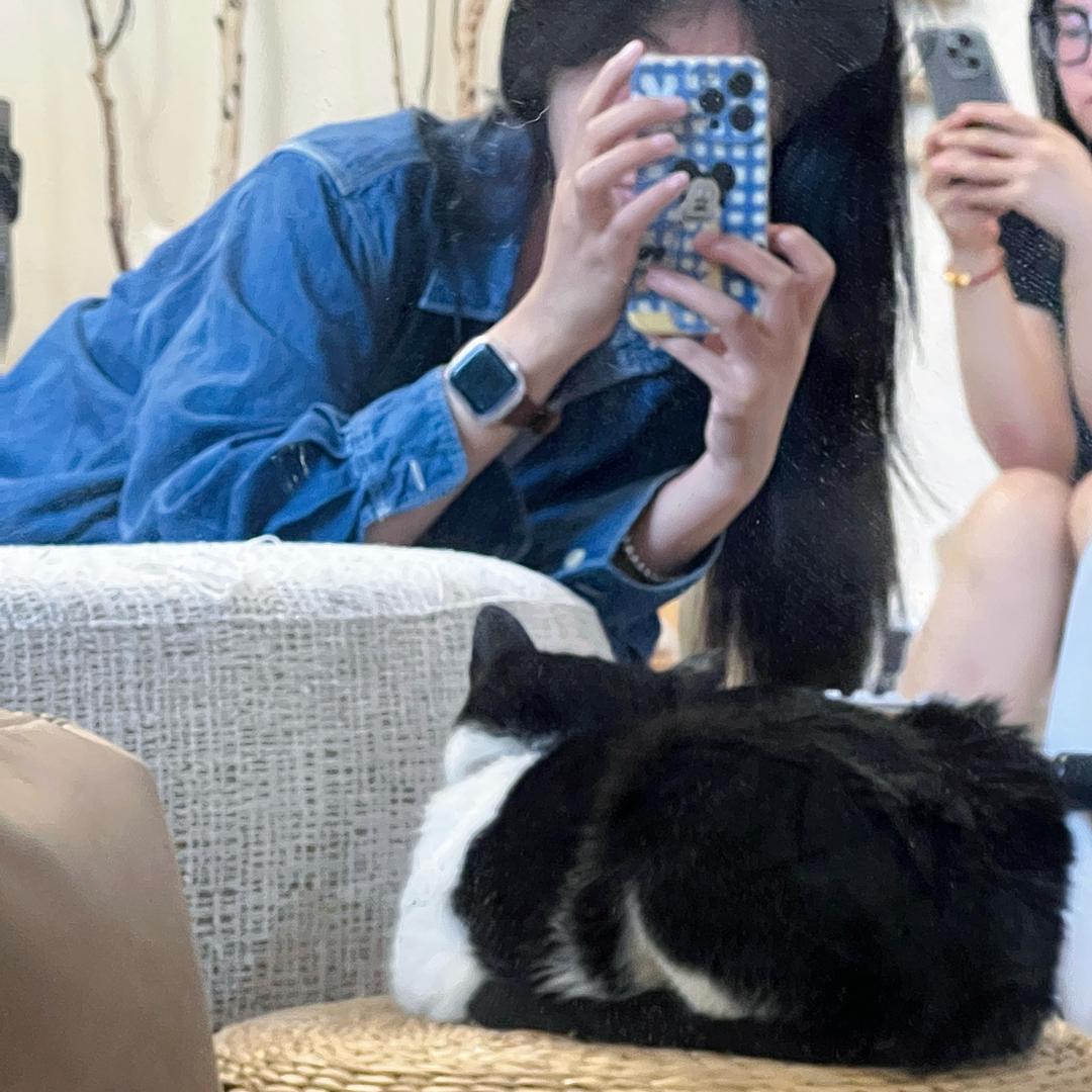 哇哒吸蛙
