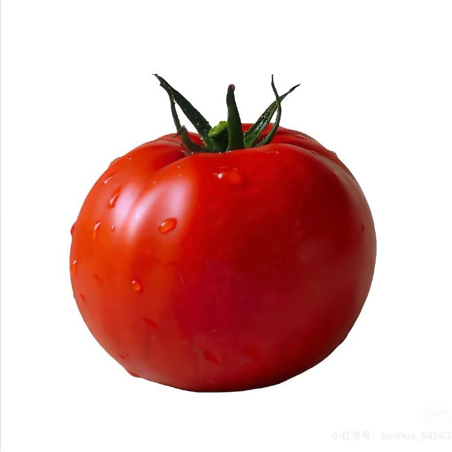 大爱仙尊🍅（明日之后）